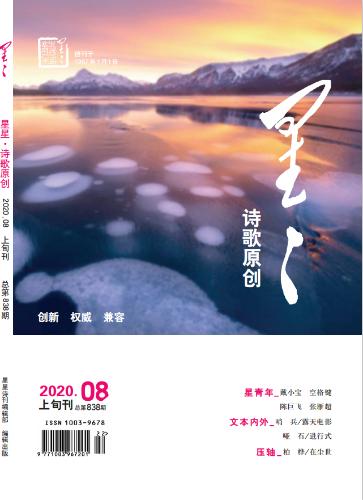 《星星·詩歌原創(chuàng)》2020年8期目錄