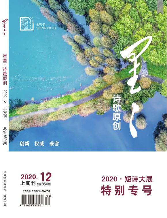 《星星·詩歌原創(chuàng)》2020年12期 短詩大展特別專號(hào)