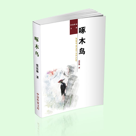 張富林詩(shī)集：《啄木鳥(niǎo)》