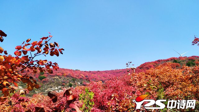 秋日短歌（組詩）