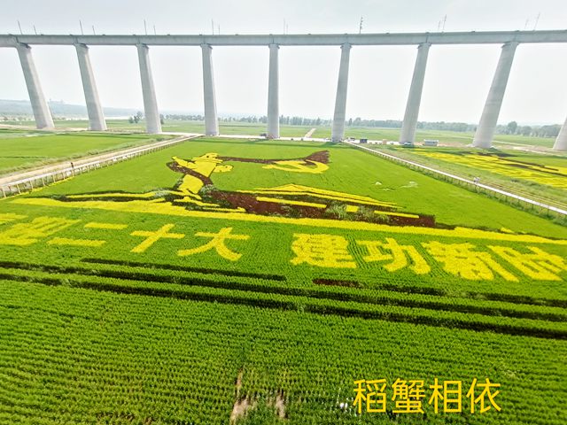 行吟準(zhǔn)格爾（組詩）