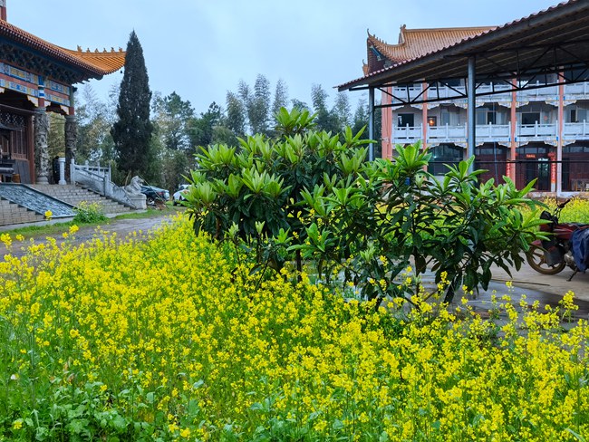 清泉山雨中懷洛夫