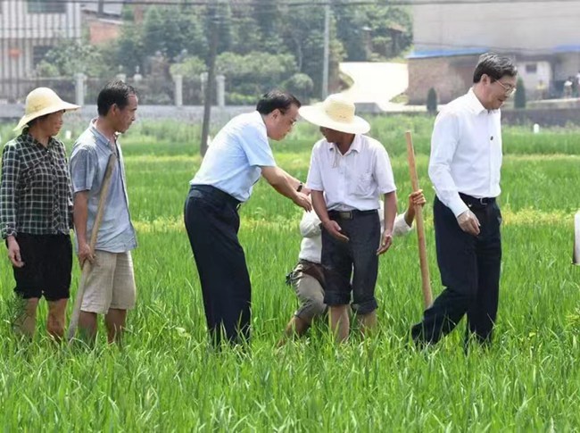 在衡陽(yáng)鄉(xiāng)間的田埂上