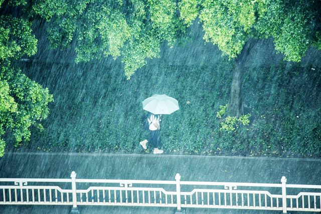 雨